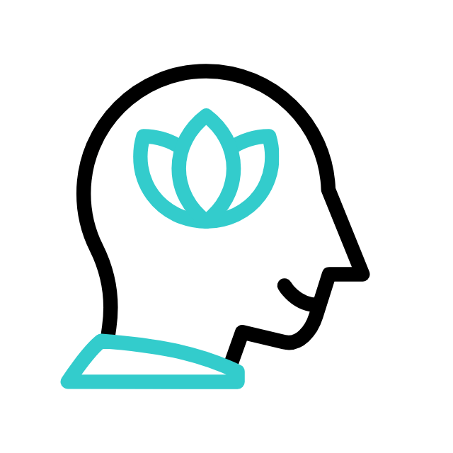 Confidentialité Absolue Icon